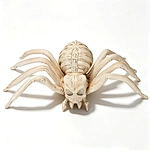 bone spider prop